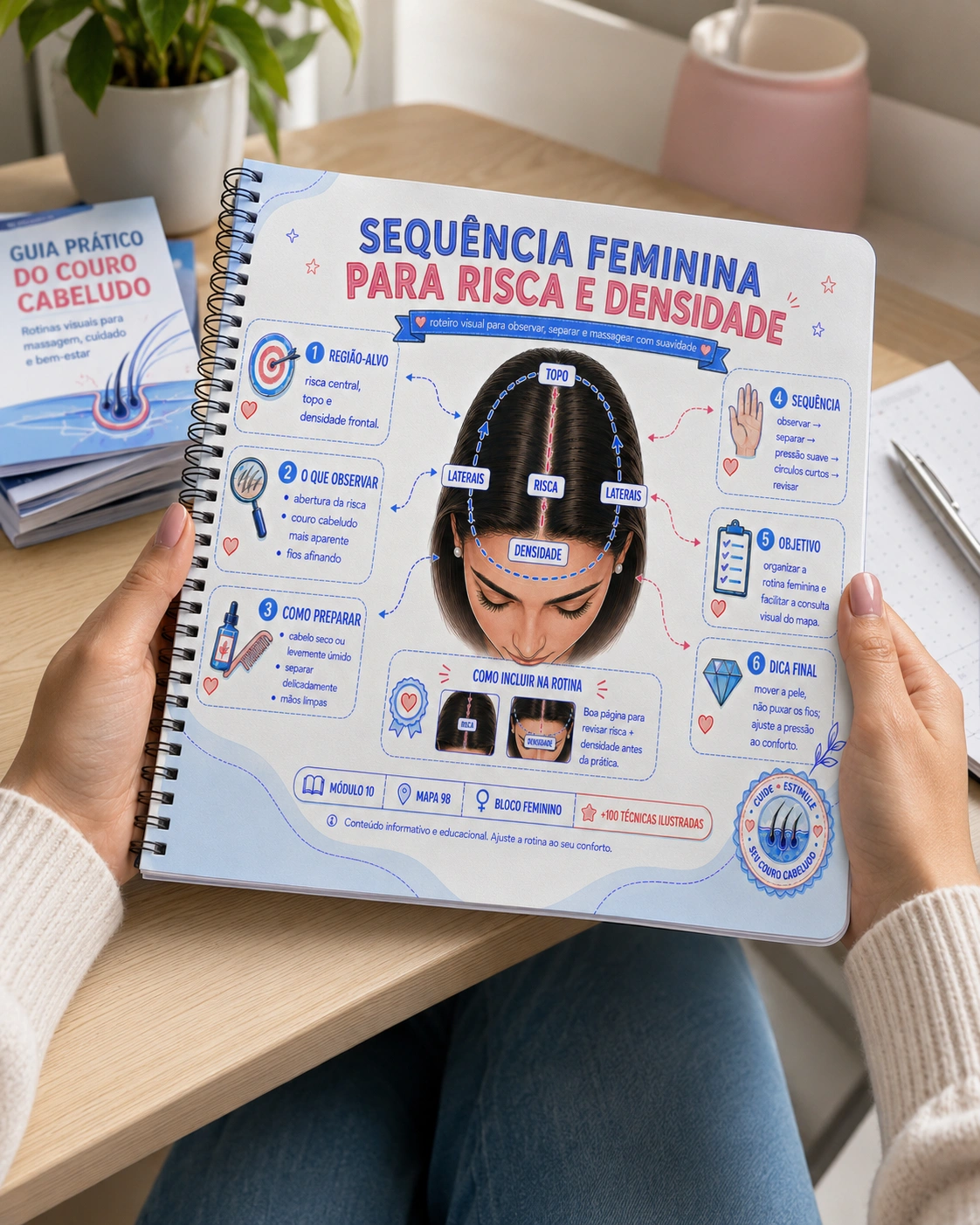 Demonstração Ilustrada 03